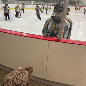 Meet your Posher, Maeson